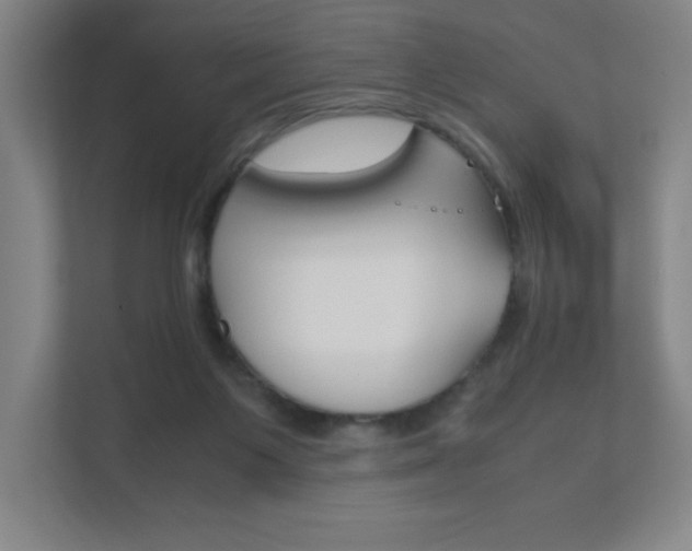 X0000111850119200907231107