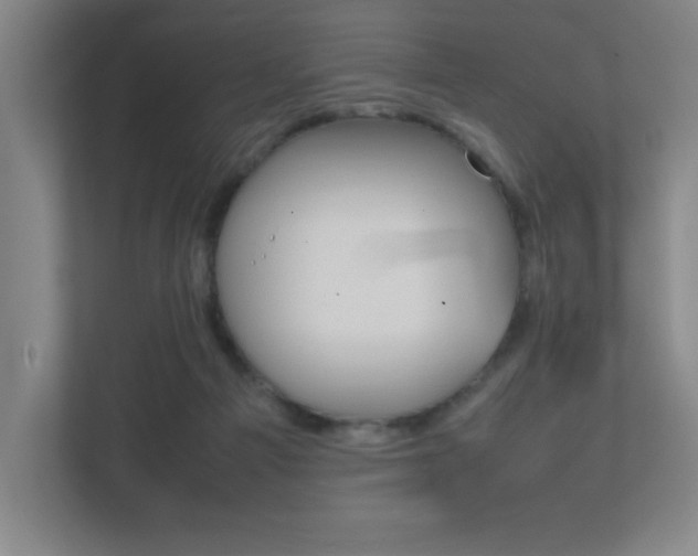 X0000111850121200907231107