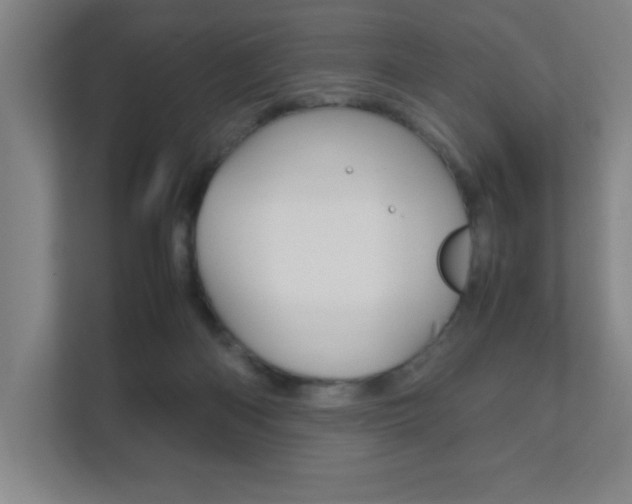 X0000111850122200907231107