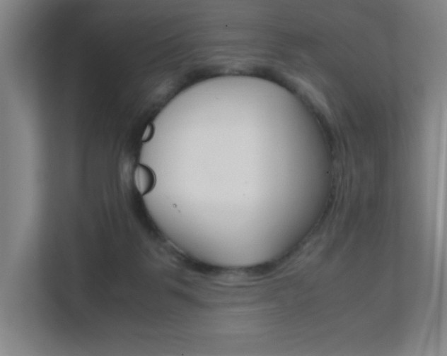 X0000111850123200907231107