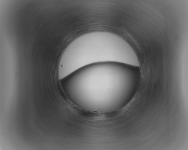 X0000111850124200907231107