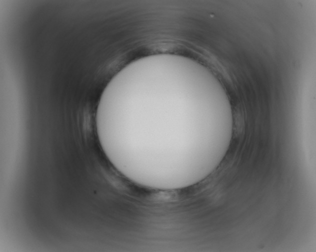 X0000111850126200907231107
