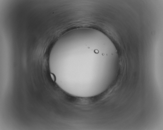 X0000111850127200907231107