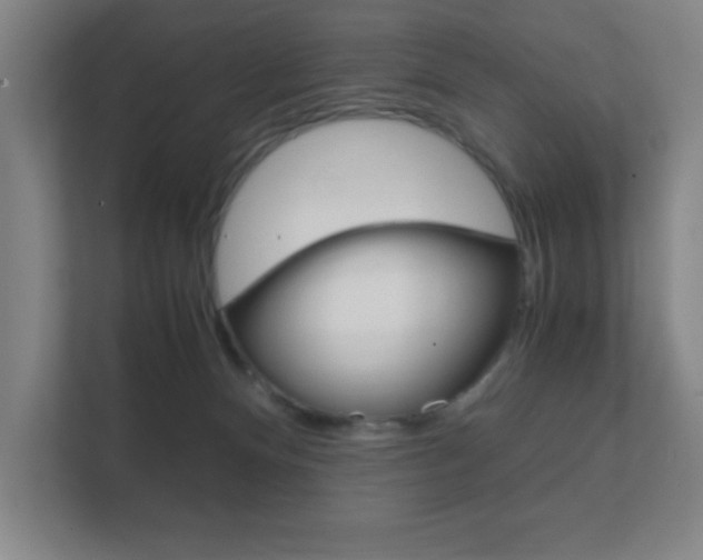 X0000111850128200907231107