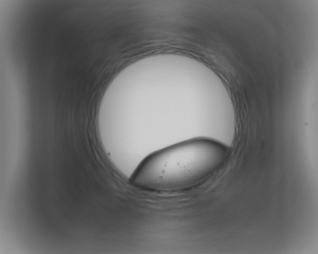 X0000111850129200907231107