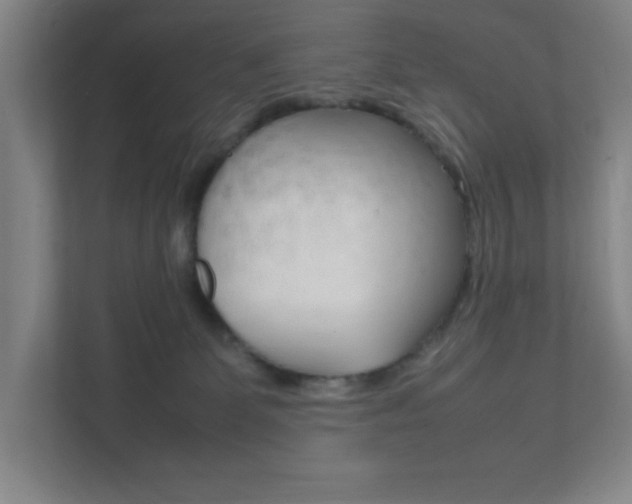 X0000111850131200907231107