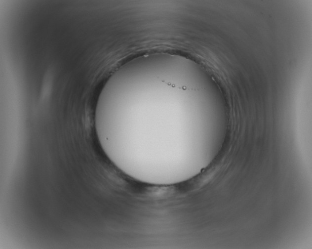 X0000111850135200907231107
