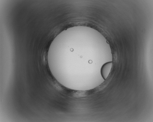 X0000111850138200907231107