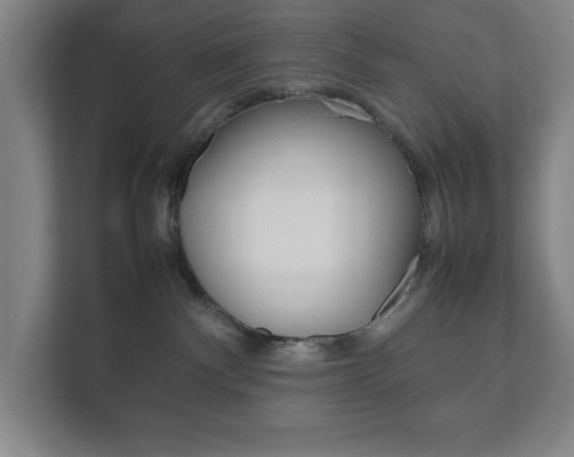X0000111850140200907231107