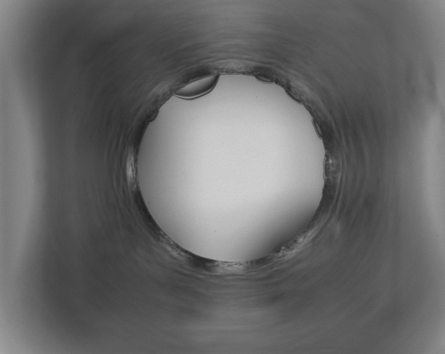 X0000111850143200907231107