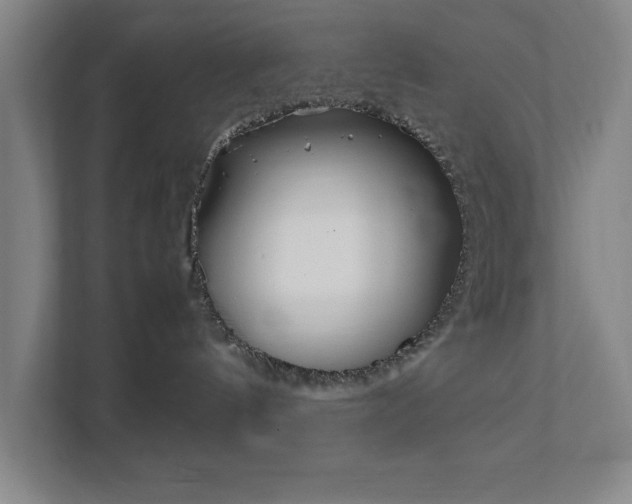 X0000111850144200907231107