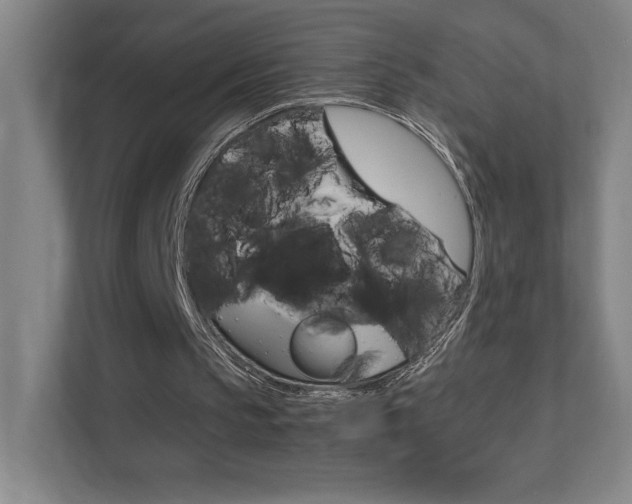 X0000111850145200907231106