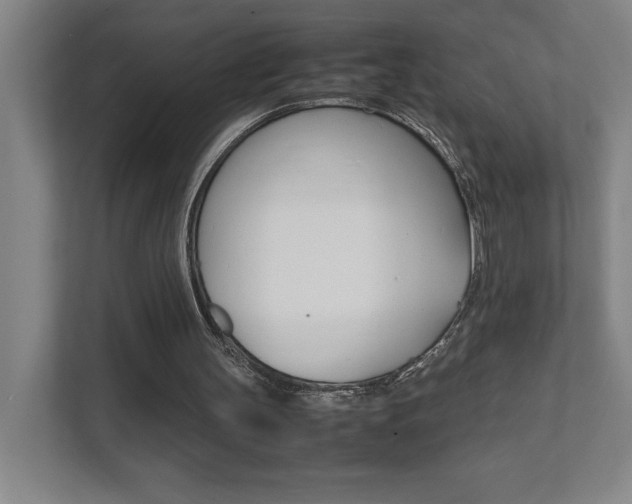 X0000111850147200907231106