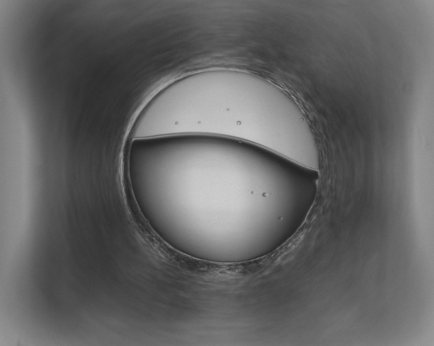 X0000111850148200907231106