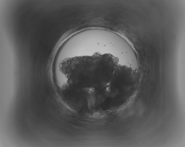 X0000111850151200907231106