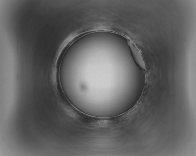 X0000111850152200907231106