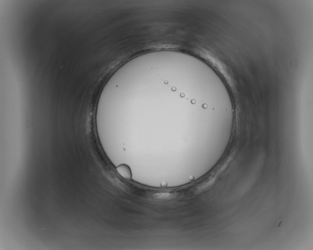 X0000111850153200907231106