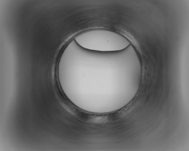 X0000111850155200907231106