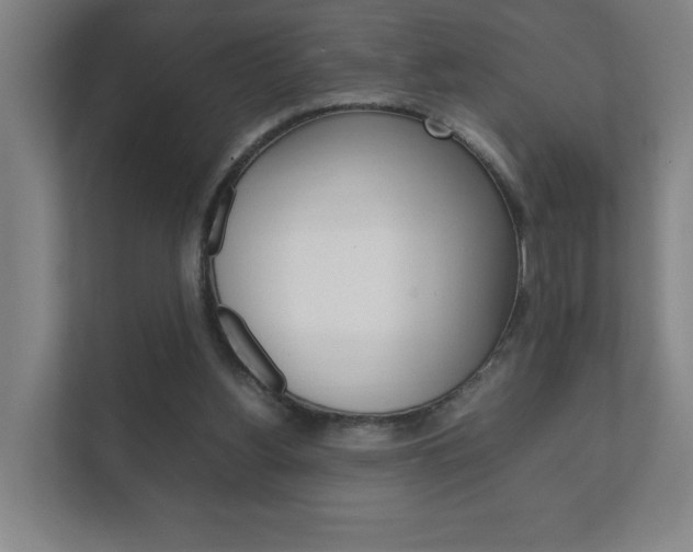 X0000111850156200907231106
