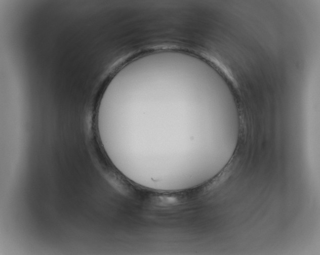X0000111850159200907231107