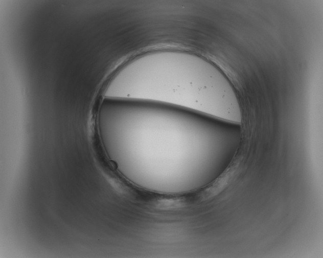 X0000111850160200907231107