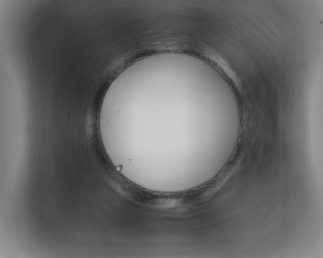 X0000111850161200907231107