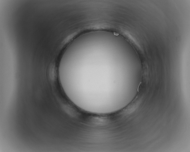 X0000111850164200907231107