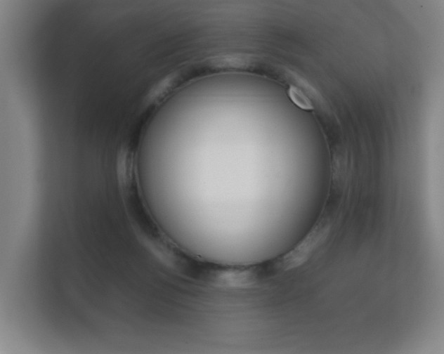 X0000111850168200907231107
