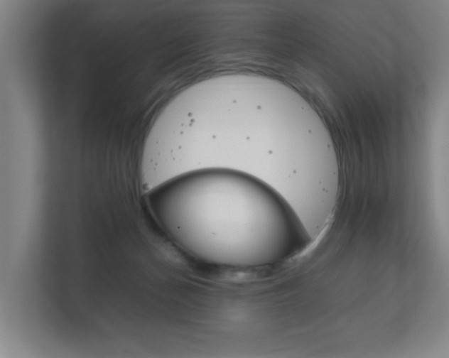 X0000111850174200907231107