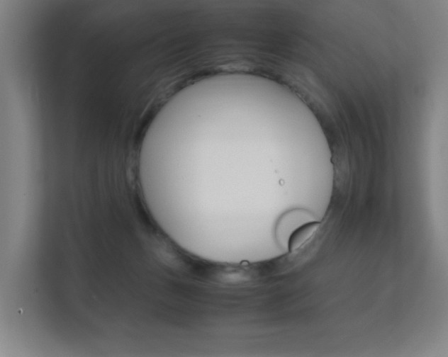 X0000111850175200907231107