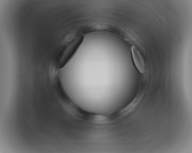 X0000111850176200907231107
