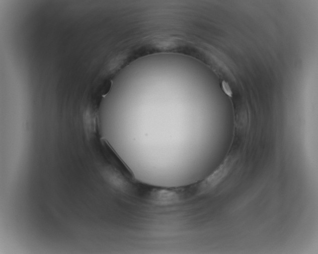 X0000111850180200907231107