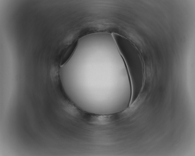 X0000111850184200907231107