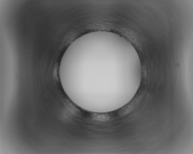 X0000111850185200907231107