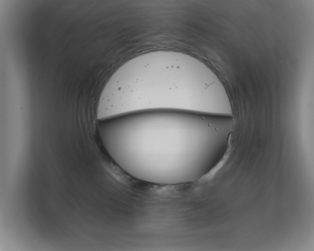 X0000111850186200907231107
