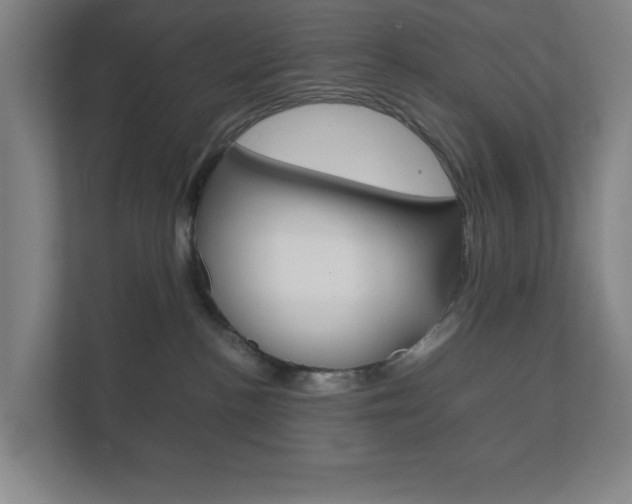 X0000111850188200907231107