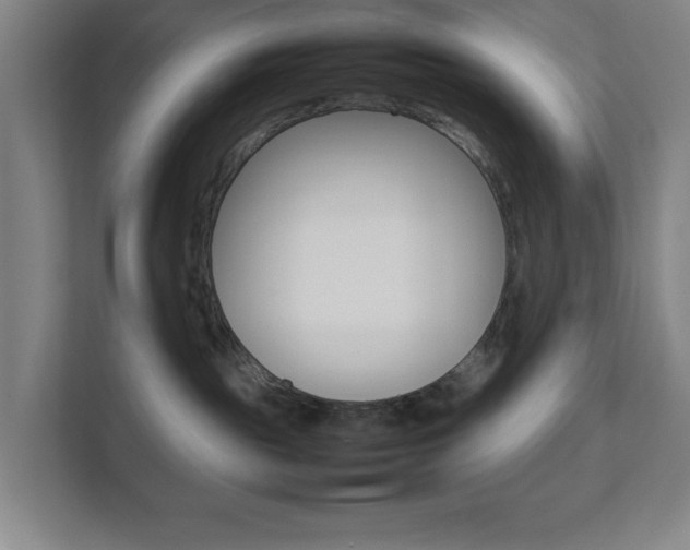 X0000111850189200907231107