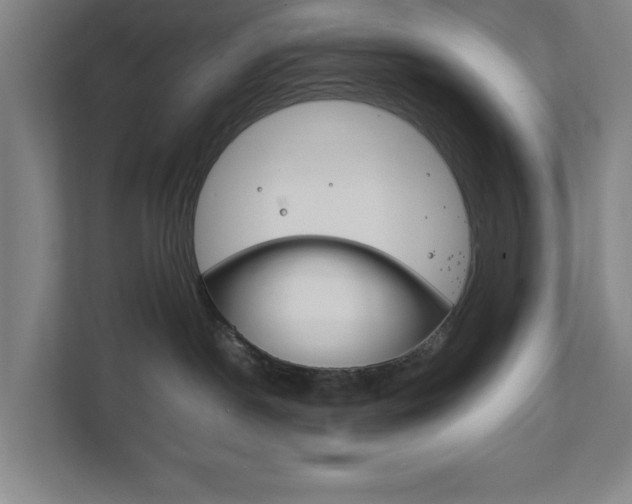 X0000111850190200907231107