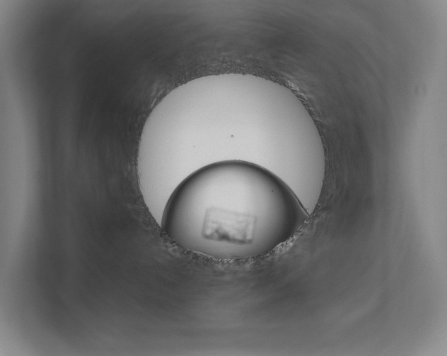 X0000111850192200907231107