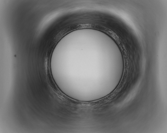 X0000111850194200907231106