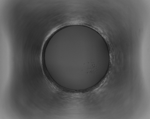 X0000111850196200907231106