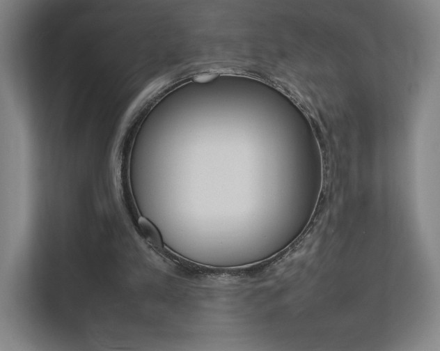 X0000111850197200907231106