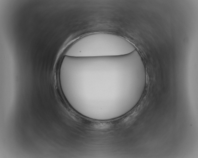 X0000111850198200907231106