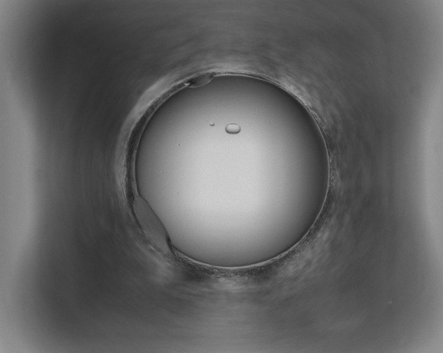 X0000111850199200907231106