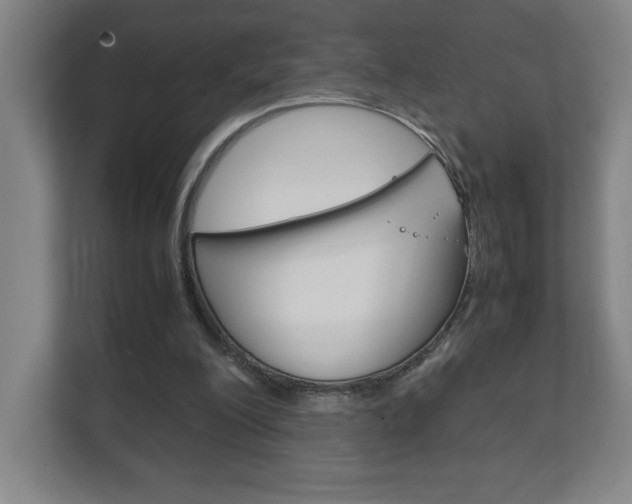 X0000111850200200907231106