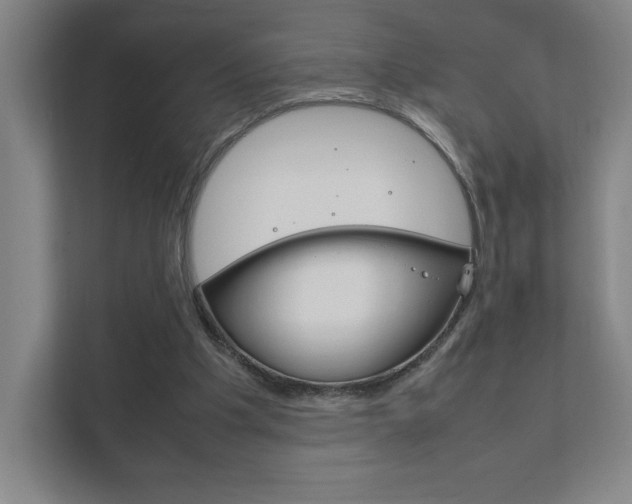 X0000111850201200907231106