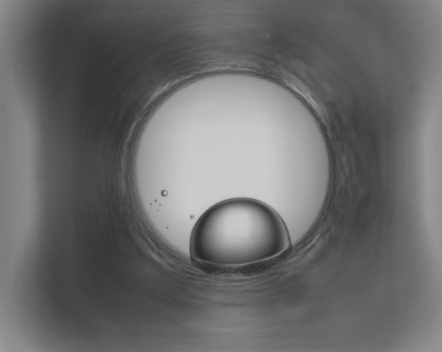 X0000111850203200907231106
