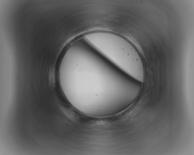 X0000111850204200907231106