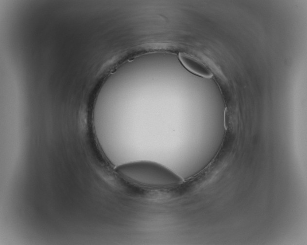 X0000111850207200907231106
