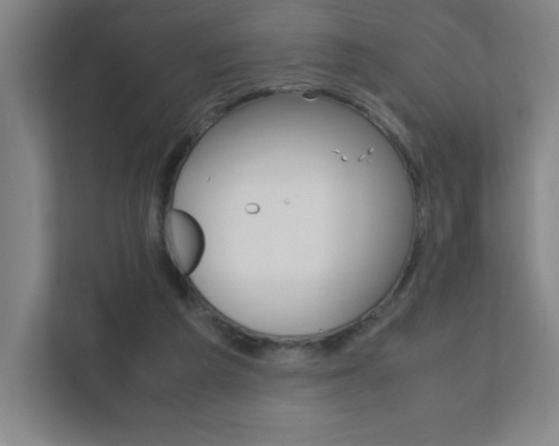 X0000111850209200907231106